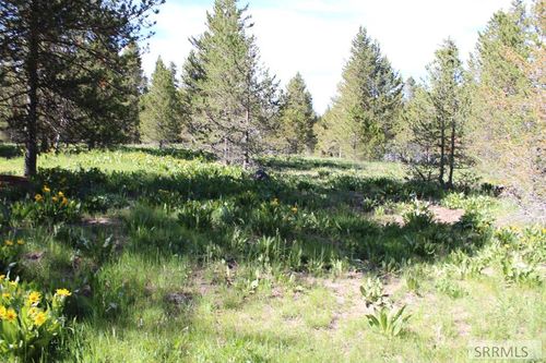 0000 Buffalo Ln, Island Park, ID, 83429 | Card Image