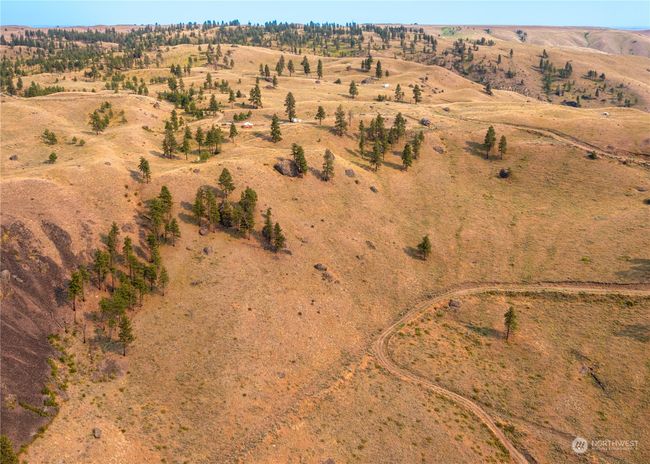 100 Pine Bluffs Ln, Home with 0 bedrooms, 0 bathrooms and null parking in Waterville WA | Image 15