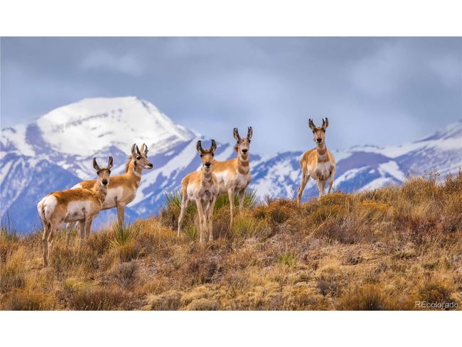 1699 Sangre Dr, House other with 2 bedrooms, 2 bathrooms and null parking in Westcliffe CO | Image 36