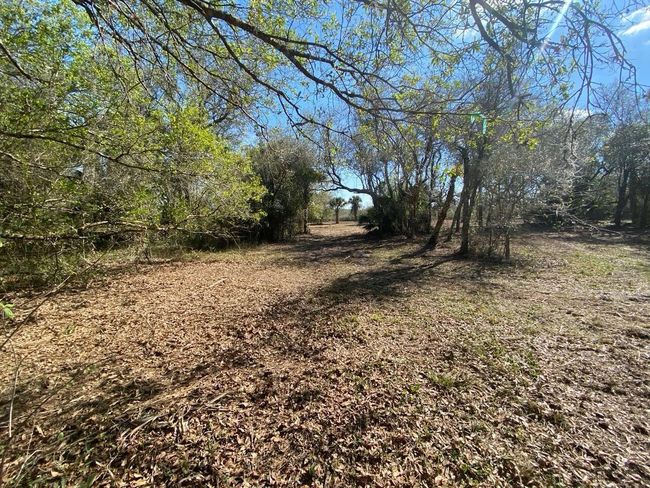 15936 306 Th St, Home with 0 bedrooms, 0 bathrooms and null parking in Okeechobee FL | Image 14