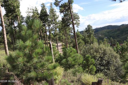 40-12718 N Upper Loma Linda Rd, Mount Lemmon, AZ, 85619-0071 | Card Image