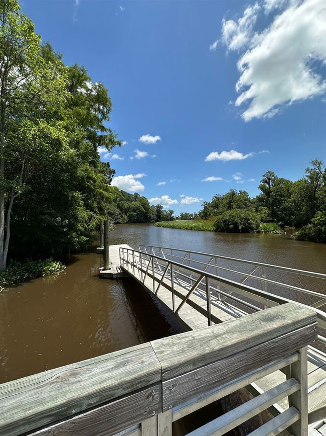 218 Samworth Loop, Home with 0 bedrooms, 0 bathrooms and null parking in Georgetown SC | Image 14