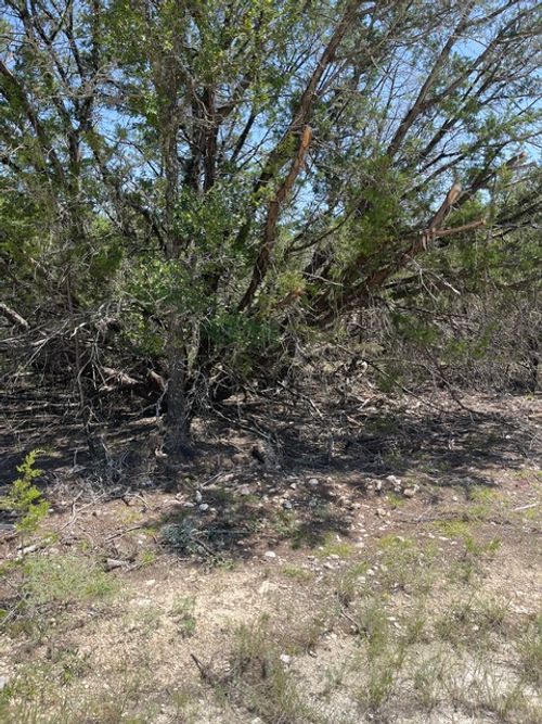 TBD Cr 2644, Lometa, TX, 76853 | Card Image
