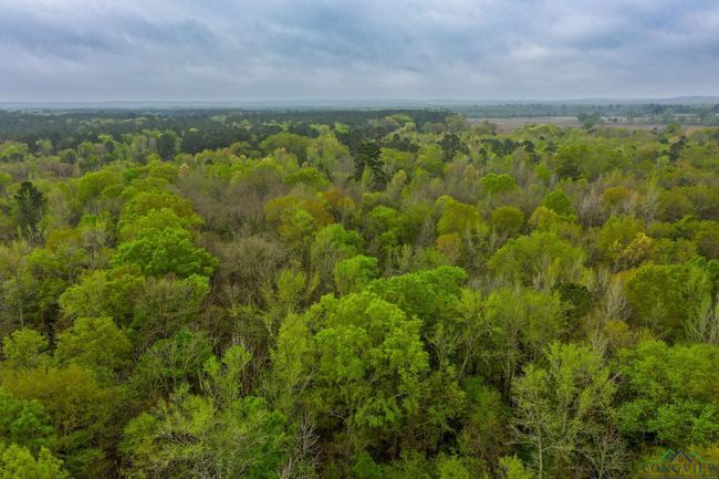 0 E Us Highway 80, Home with 0 bedrooms, 0 bathrooms and null parking in Big Sandy TX | Image 15