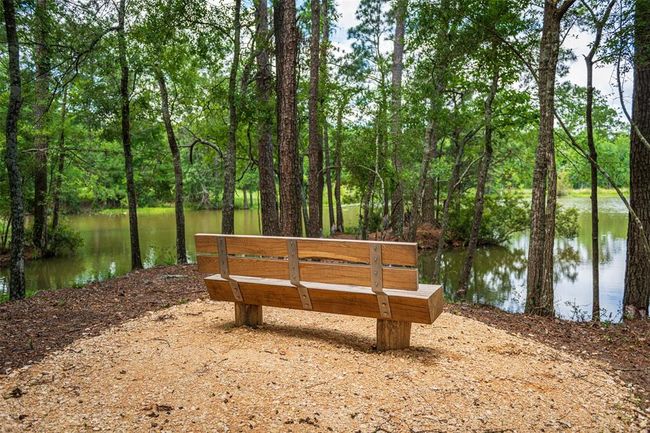 14675 Cedar Elm Ct, House other with 3 bedrooms, 2 bathrooms and 2 parking in Willis TX | Image 7