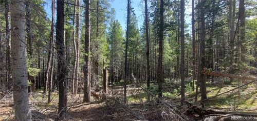 3031 Bolwell Ln, Fort Garland, CO, 81133 | Card Image