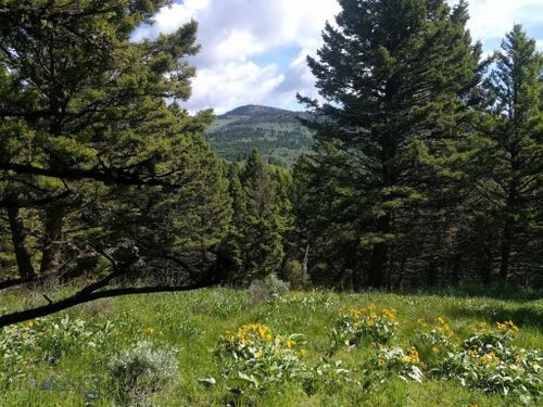 4 Sunflower Ln, Livingston, MT, 59047-9010 | Card Image