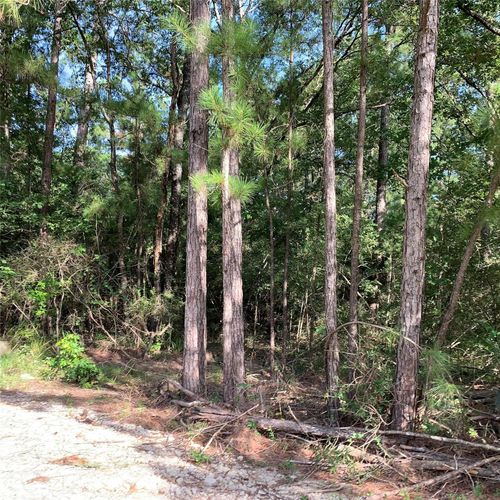 TBD Hard Rock Ln, Trinity, TX, 75862 | Card Image