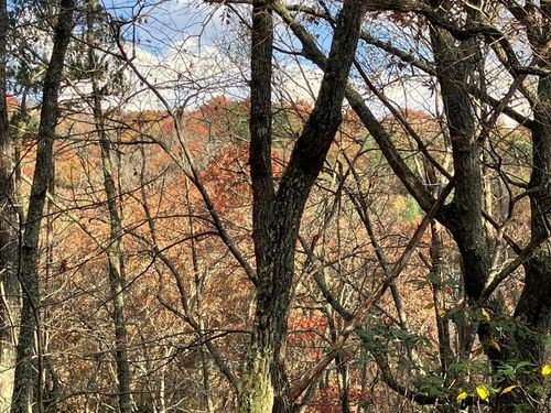 LT24 Mission Ridge Ct, Hayesville, NC, 28904 | Card Image