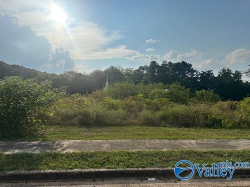 6603 Amberlee Ln Nw, Huntsville, AL, 35810-1163 | Card Image