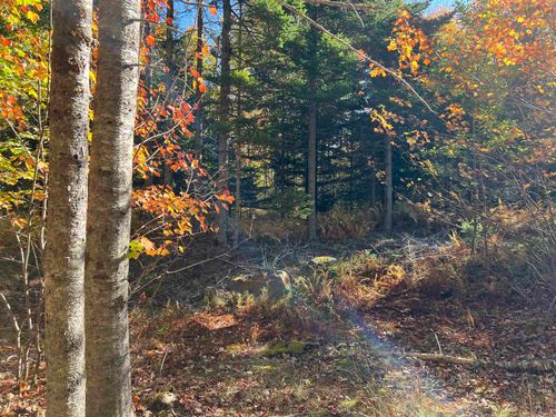 Lot Huey Lake Road, Mount Pleasant, NS, B0R1A0 | Card Image