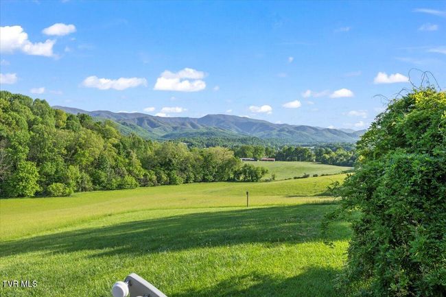 1942 Bailey Bridge Rd, House other with 2 bedrooms, 3 bathrooms and null parking in Limestone TN | Image 75