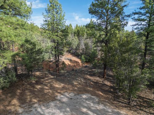 Lot 44/45 W Elk Dr, Ramah, NM, 87321 | Card Image