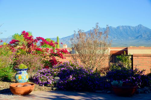 3911 Via Del Tordo, Green Valley, AZ, 85622 | Card Image