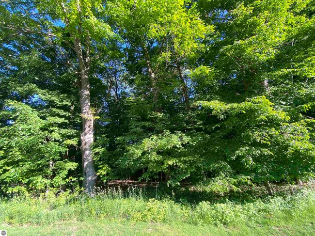 Lot 10 S Club Dr, Home with 0 bedrooms, 0 bathrooms and null parking in Cedar MI | Image 10