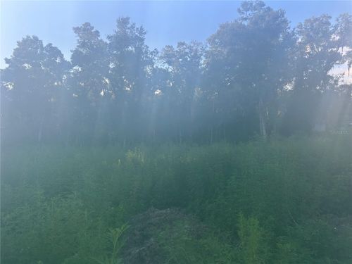 3528 W Nieman Dr, Dunnellon, FL, 34433-6897 | Card Image