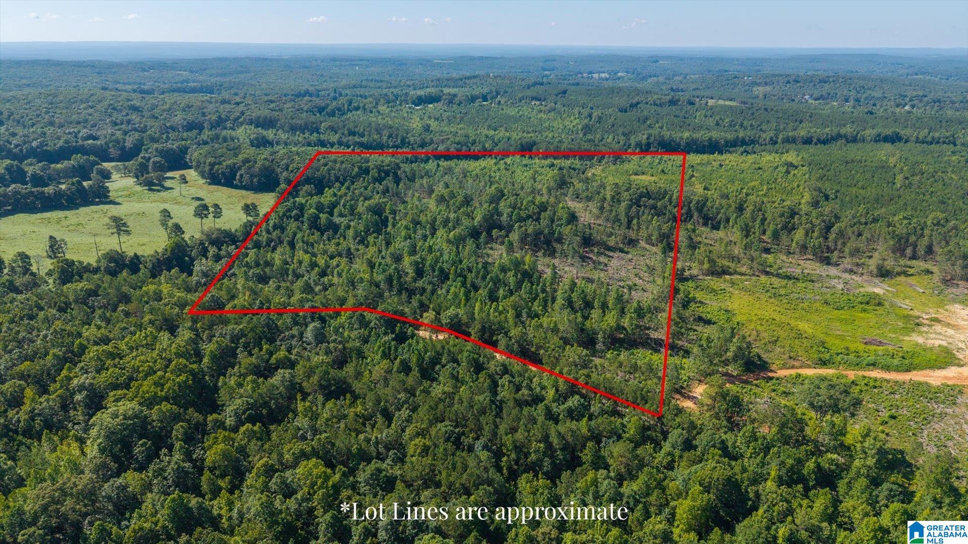 Land in HEFLIN 5