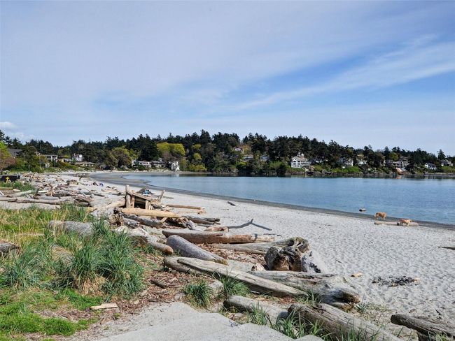 3935 Tudor Ave, House other with 4 bedrooms, 3 bathrooms and 1 parking in Saanich BC | Image 33