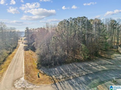 25-0 Branch Cove, Odenville, AL, 35120 | Card Image