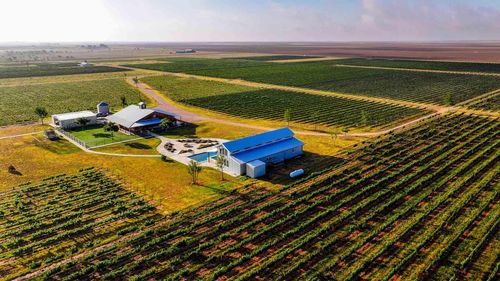 374 Fm 1317, Tahoka, TX, 79373 | Card Image