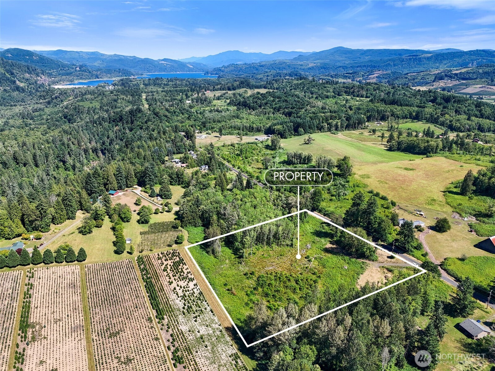 Land in Mossyrock 5