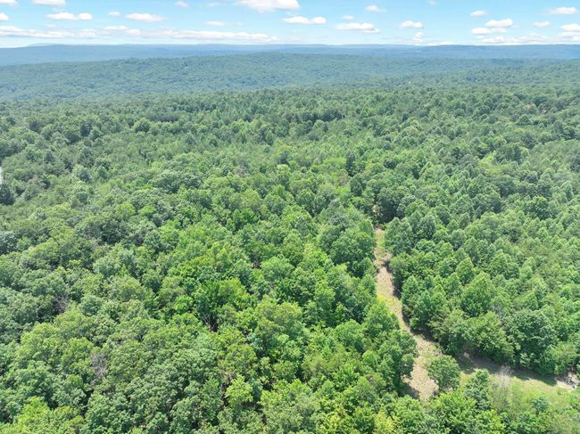 1189 Cloud Land Ln, Home with 0 bedrooms, 0 bathrooms and null parking in Dunlap TN | Image 6