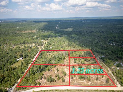 1516 Nw Lake Lillian Rd, Fountain, FL, 32438 | Card Image