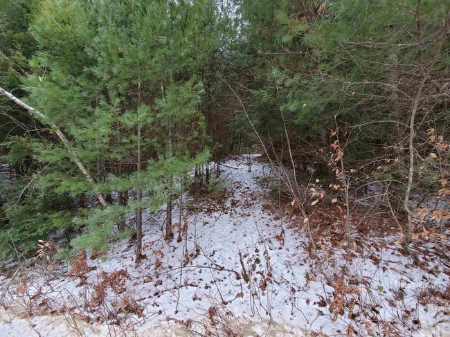 00 Berry Farms Rd, Home with 0 bedrooms, 0 bathrooms and null parking in Bristol NH | Image 13