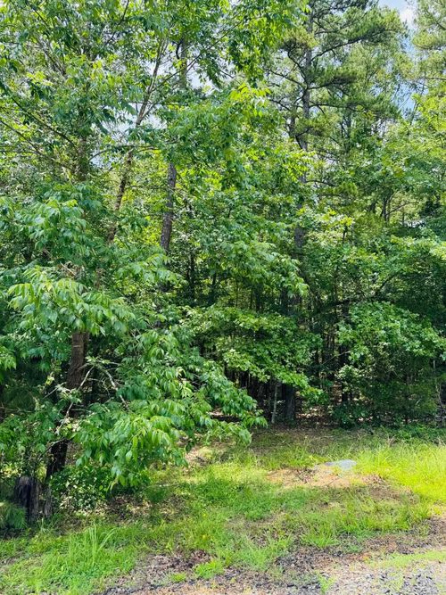 Lot 55 Primrose Creek Cir, Heber Springs, AR, 72543-8753 | Card Image