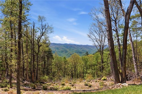 Lot 102 Angelfire Trail, Deep Gap, NC, 28618 | Card Image