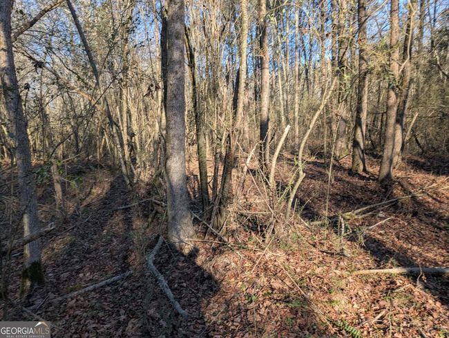 0 Ridgeway Rd, Home with 0 bedrooms, 0 bathrooms and null parking in Trion GA | Image 39