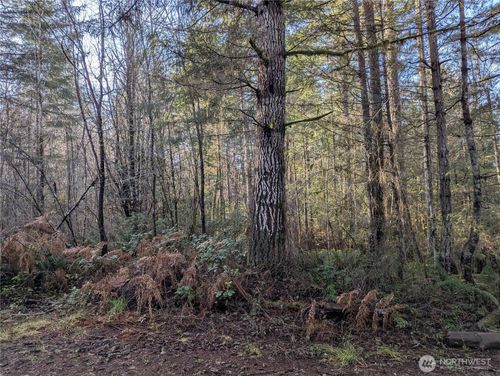 0 E Savage Ln, Grapeview, WA, 98546 | Card Image