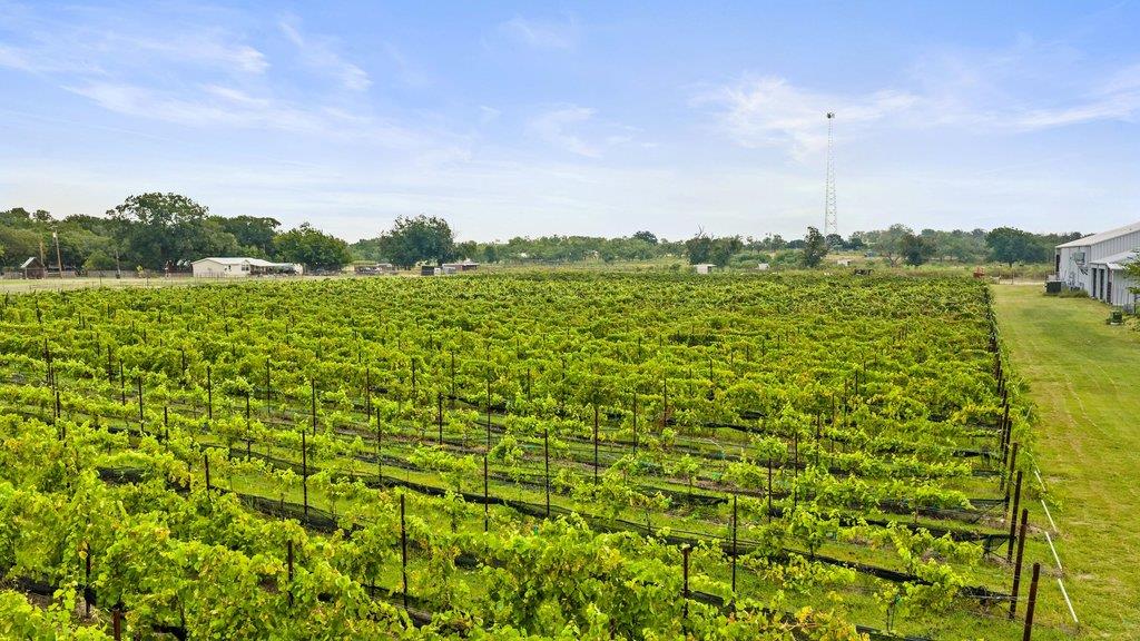 Commercial Sale in Fredericksburg 3