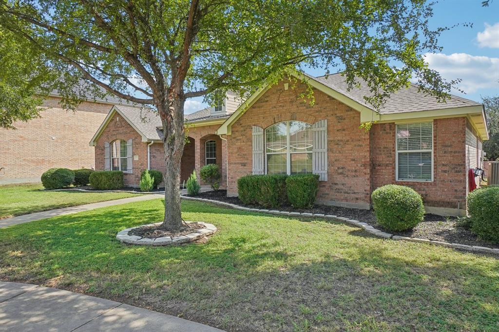 Tea Olive Dr, Glenn Heights, TX 75154