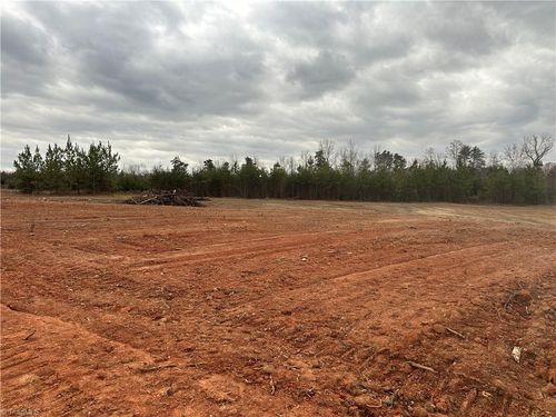 173 Briar Ridge Lane, Yanceyville, NC, 27379 | Card Image