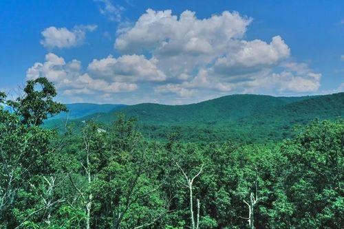 TBD Laurel Ridge Ln, LYNDHURST, VA, 22952 | Card Image