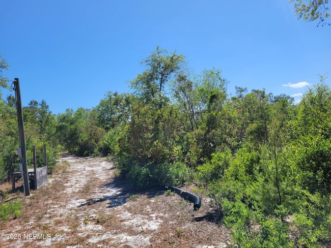 2155 State Road 40, Home with 0 bedrooms, 0 bathrooms and null parking in De Leon Springs FL | Image 65
