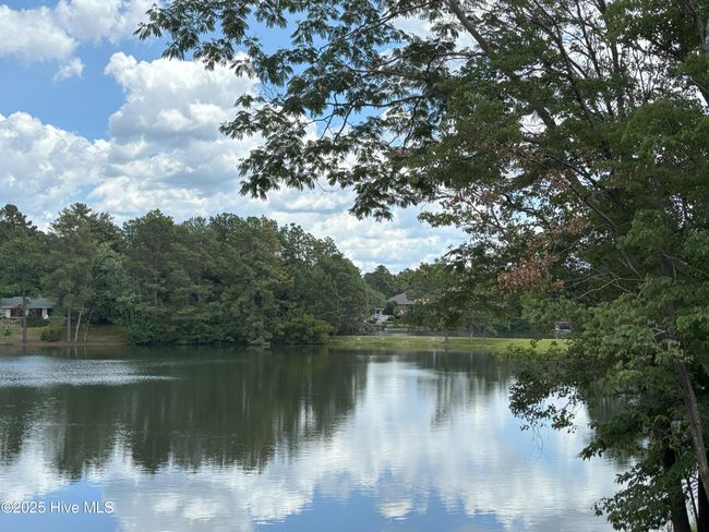 1040 Burning Tree Rd, House other with 4 bedrooms, 5 bathrooms and 3 parking in Pinehurst NC | Image 14