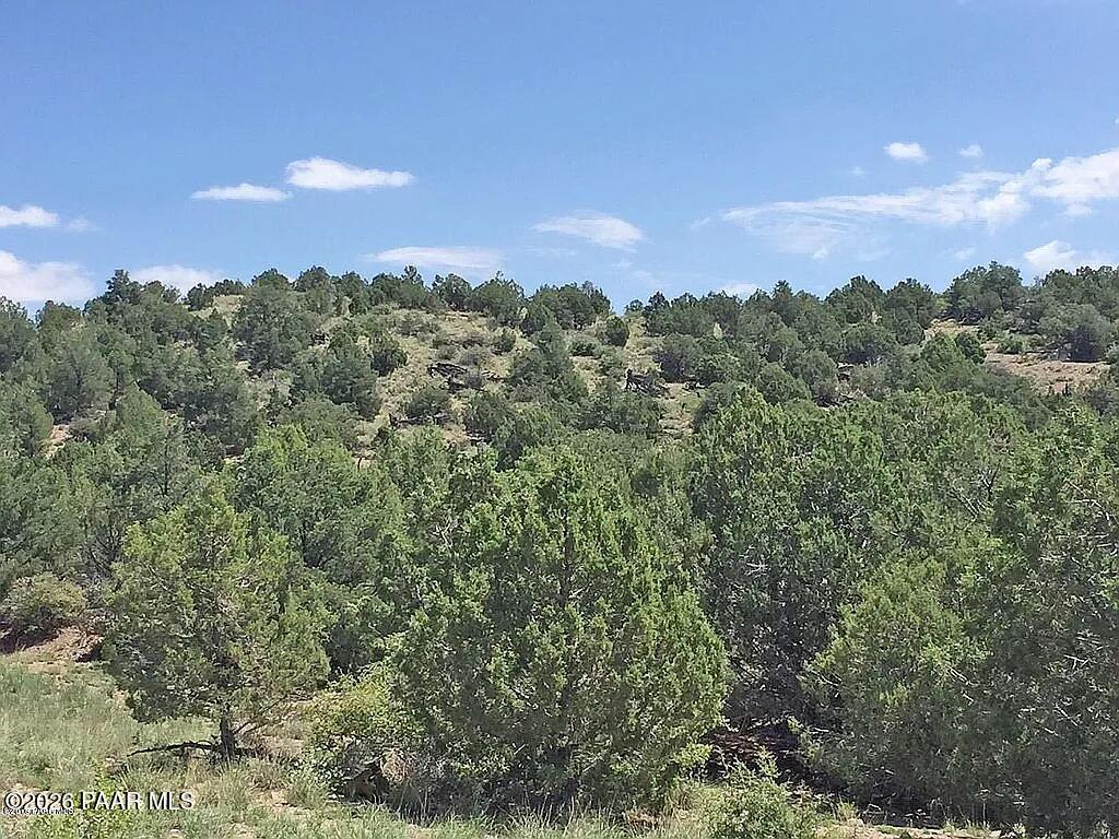 Land in Prescott 4