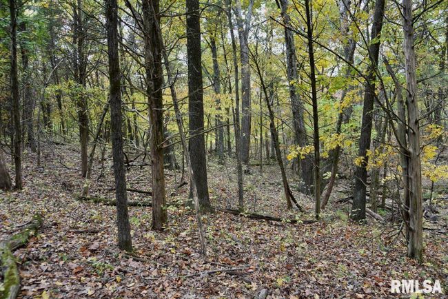 3465 Friendship Loop Loop, Home with 0 bedrooms, 0 bathrooms and null parking in Goreville IL | Image 26