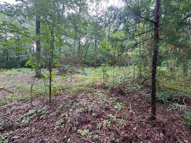 098 Private Road 6010, Home with 0 bedrooms, 0 bathrooms and null parking in Brookeland TX | Image 5
