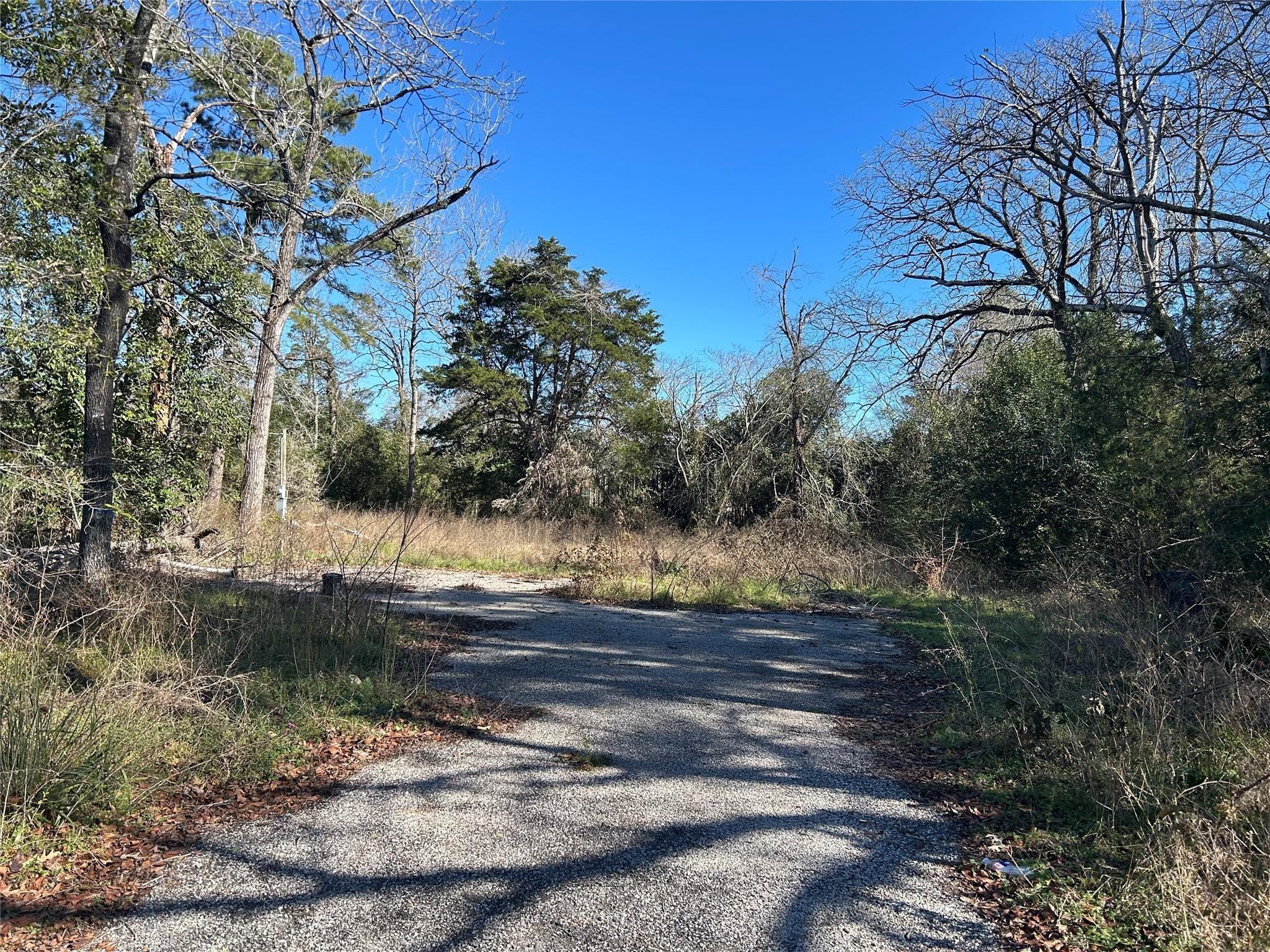 Land in Willis 2