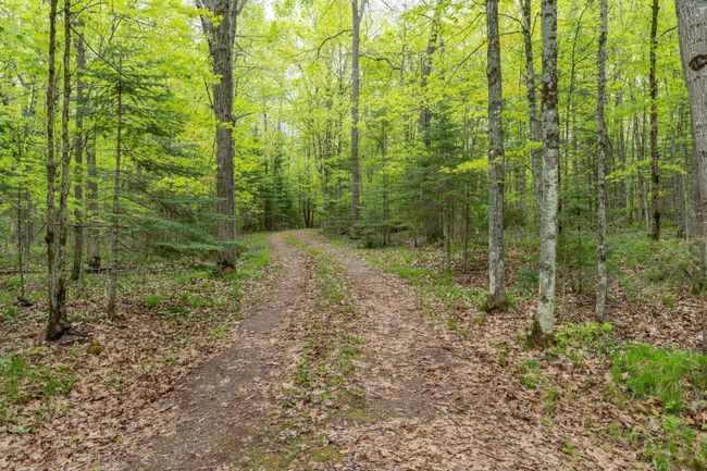 7418 Flambeau Point Rd, Home with 0 bedrooms, 0 bathrooms and null parking in LADYSMITH WI | Image 8