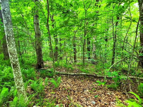 TBD Glen Burn Ln, Meadows of Dan, VA, 24120 | Card Image