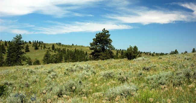 SC-25 - TBD Lone Rock Canyon Lane, Home with 0 bedrooms, 0 bathrooms and null parking in Hysham MT | Image 55