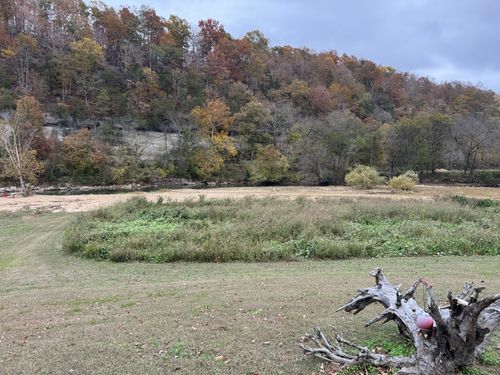 145 Big Buffalo Estates Cir, Linden, TN, 37096-6471 | Card Image