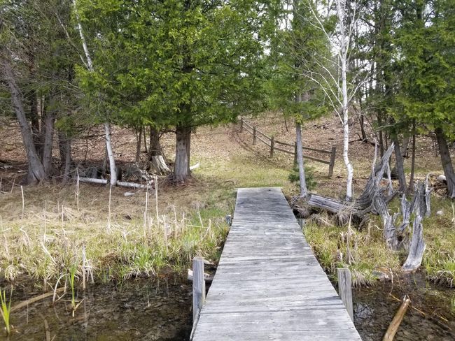 15 W 12 Mile Rd, Home with 0 bedrooms, 0 bathrooms and null parking in Irons MI | Image 12