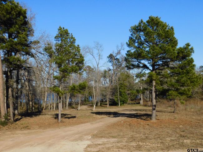 3126 Shadow Pine Dr, Home with 0 bedrooms, 0 bathrooms and null parking in LaRue TX | Image 7