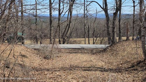 0 King Hill Rd, Freehold, NY, 12431 | Card Image