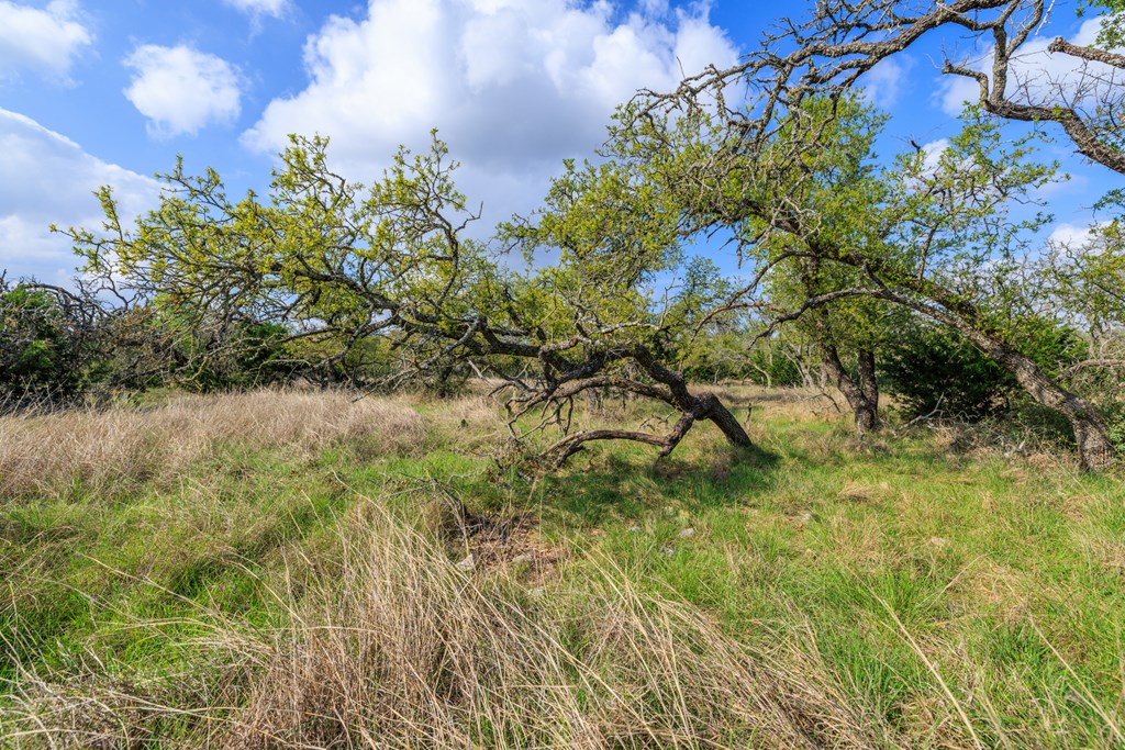 Land in Harper 5